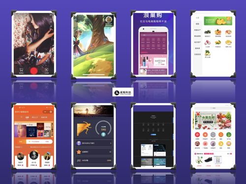 廈門小程序開發與泉州App開發 專業軟件外包服務的核心價值